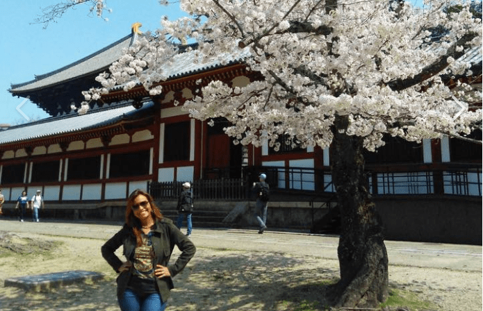 Japão: minha experiência explorando o país