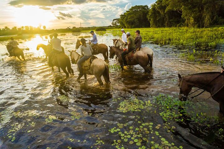 Cavalgada no Pantanal atrai turistas que pagam R$ 10 mil pela experiência